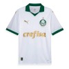 Officiële Voetbalshirt Palmeiras Uit 2024-25 - Heren